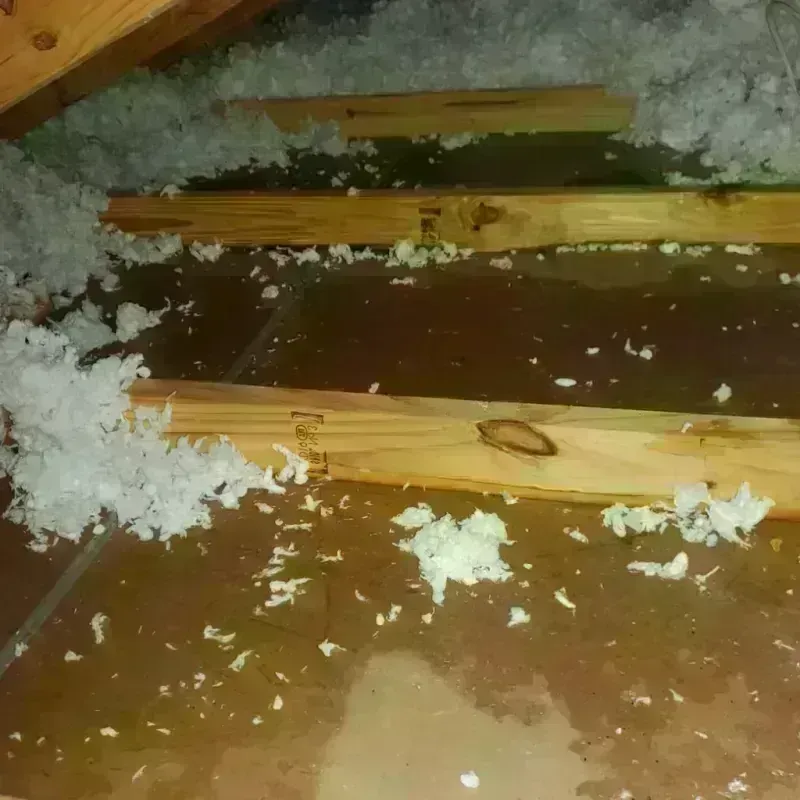 Attic Water Damage in Rural Retreat, VA